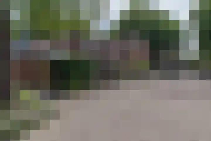 Velddreef 188 Zoetermeer thumbnail 26