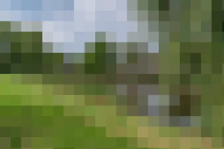 Velddreef 188 Zoetermeer thumbnail 28