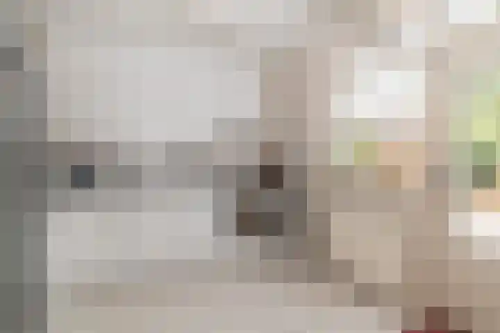 Velddreef 188 Zoetermeer thumbnail 5