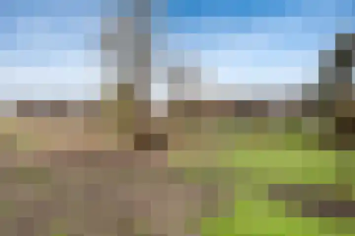 Velddreef 90 Zoetermeer thumbnail 22