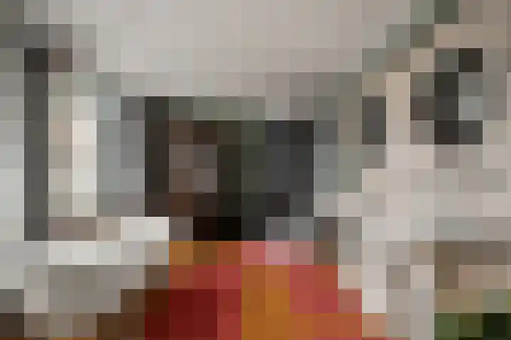 Velddreef 90 Zoetermeer thumbnail 27