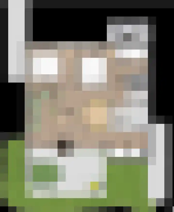 Velddreef 90 Zoetermeer thumbnail 4