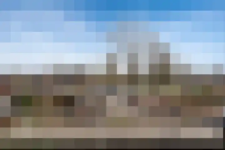 Velddreef 90 Zoetermeer thumbnail 4