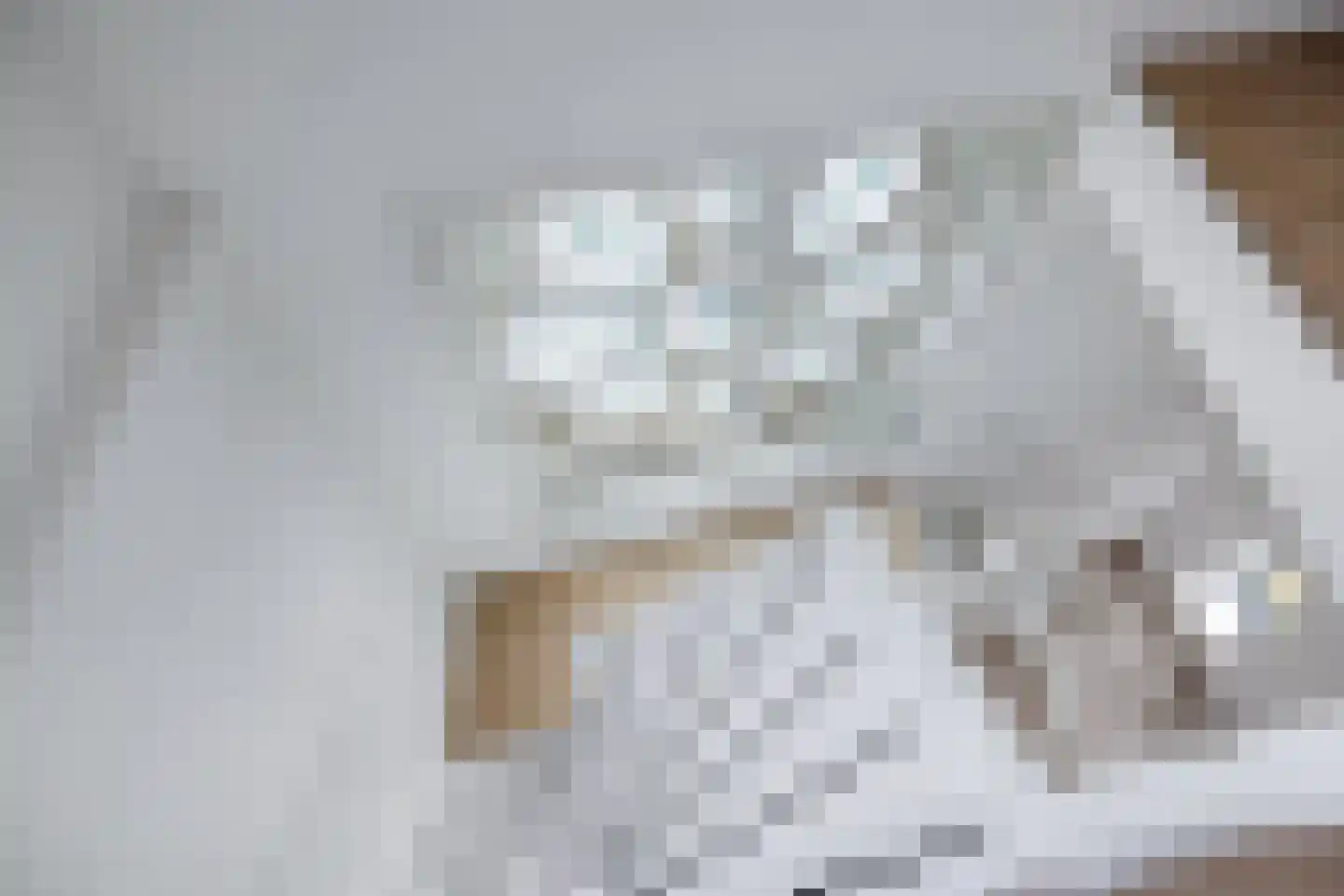 Velddreef 90 Zoetermeer thumbnail 7