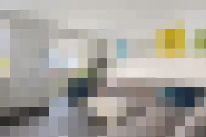Veldesteijn 48 Maasland thumbnail 13