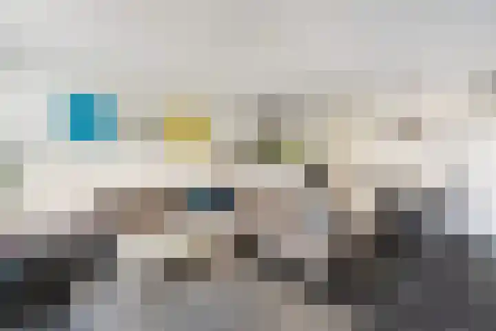 Veldesteijn 48 Maasland thumbnail 15