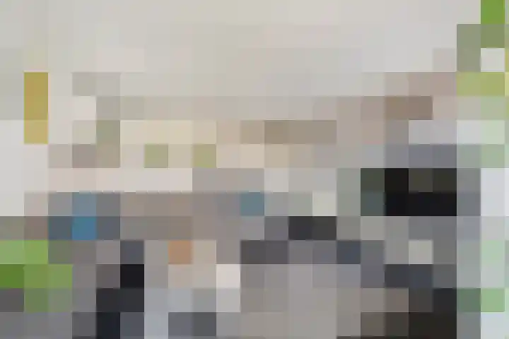 Veldesteijn 48 Maasland thumbnail 16