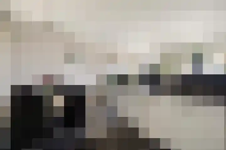 Veldesteijn 48 Maasland thumbnail 21