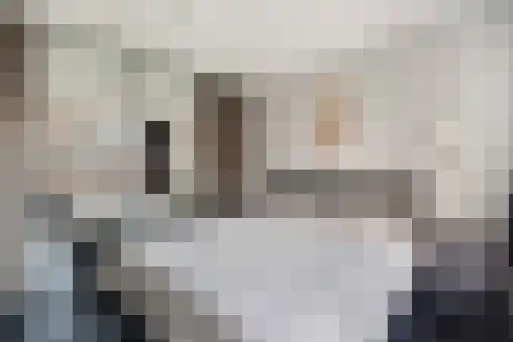 Veldesteijn 48 Maasland thumbnail 4