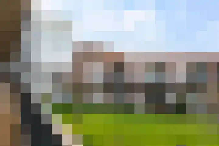 Veldesteijn 48 Maasland thumbnail 5