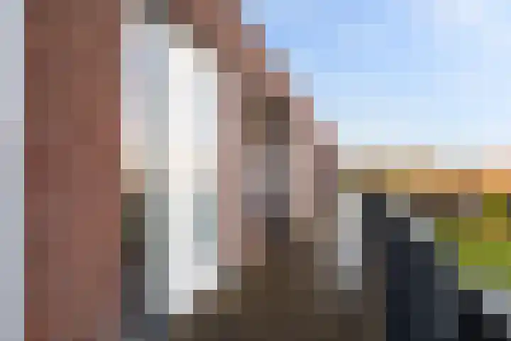 Veldesteijn 48 Maasland thumbnail 6
