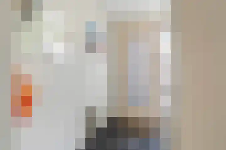 Veldesteijn 48 Maasland thumbnail 9