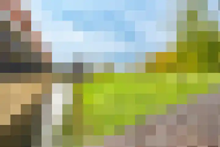 Veldhoeve 20 Nieuwegein thumbnail 4
