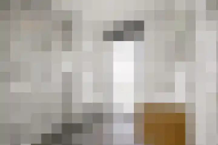 Veldhof 8 Raalte thumbnail 17