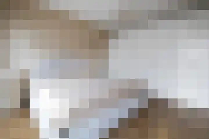 Veldhof 8 Raalte thumbnail 19
