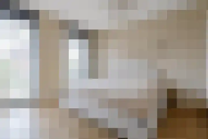Veldhof 8 Raalte thumbnail 20