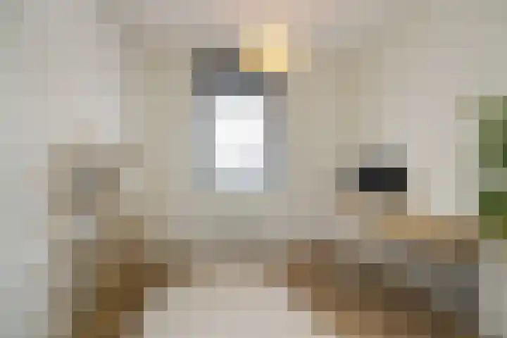 Veldhof 8 Raalte thumbnail 21