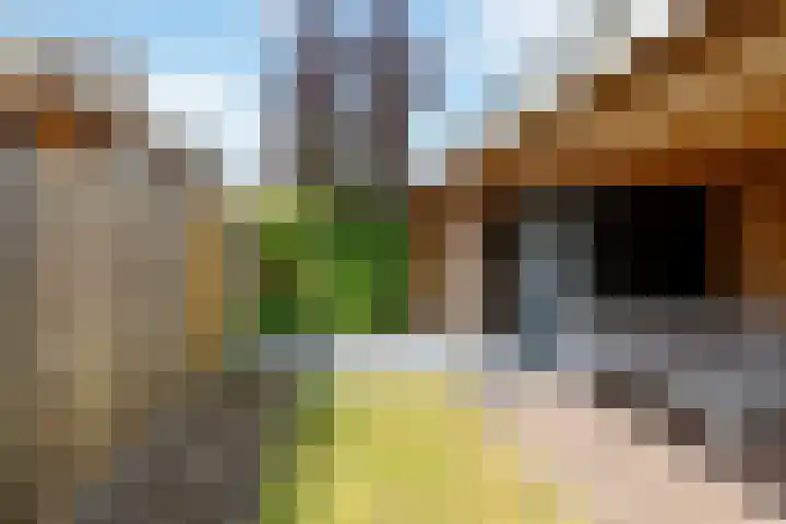 Veldhof 8 Raalte thumbnail 29