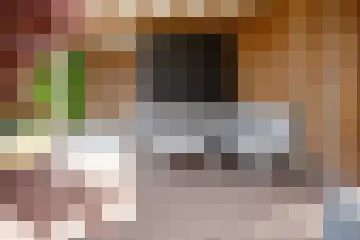 Veldhof 8 Raalte thumbnail 31