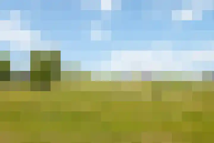 Veldhof 8 Raalte thumbnail 35