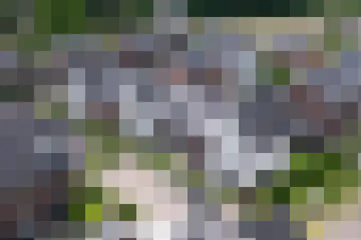 Veldhof 8 Raalte thumbnail 6