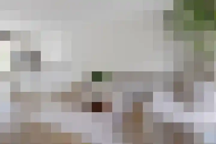 Veldhof 8 Raalte thumbnail 8