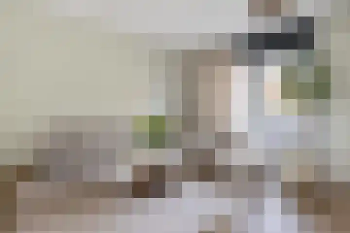 Veldhof 8 Raalte thumbnail 9