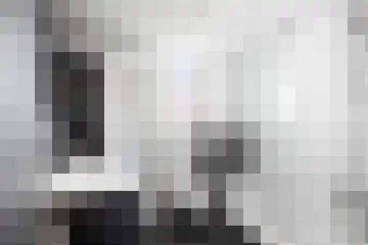 Veldhommel 51 Deventer thumbnail 15