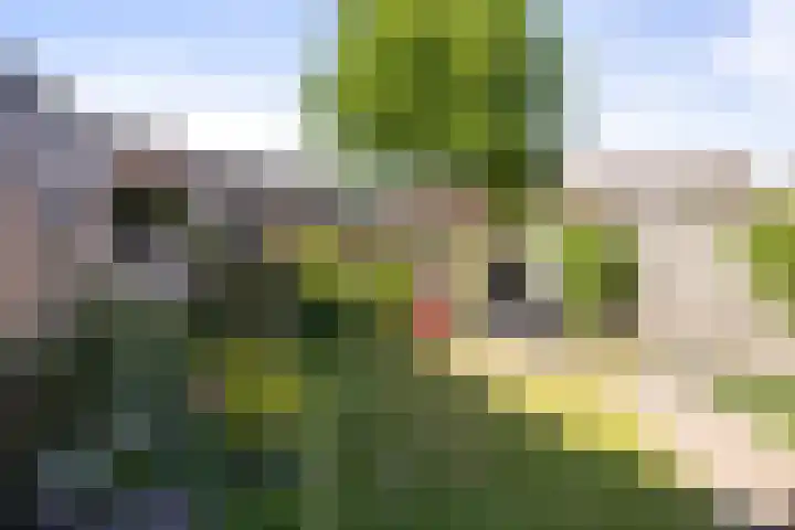 Veldhommel 51 Deventer thumbnail 22