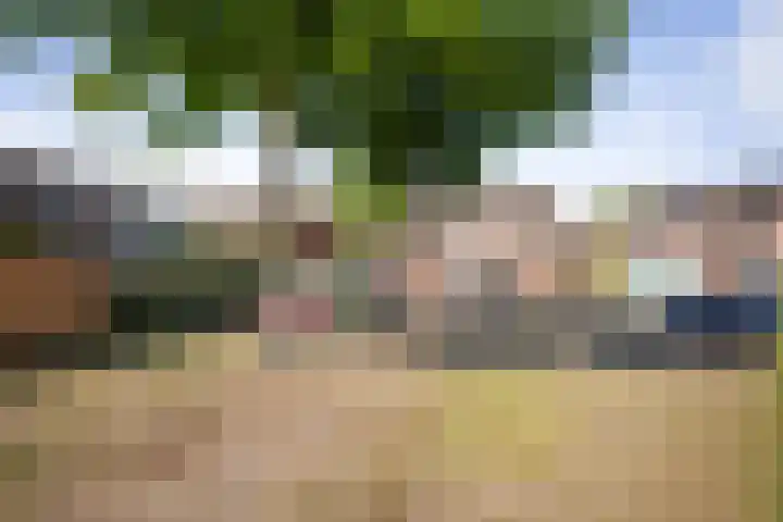Veldhommel 51 Deventer thumbnail 26