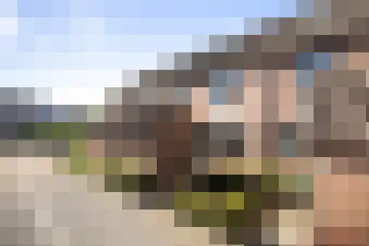 Veldhommel 51 Deventer thumbnail 27