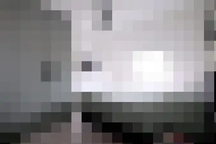 Veldhommel 72 Deventer thumbnail 13