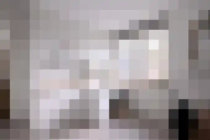 Veldhommel 72 Deventer thumbnail 17