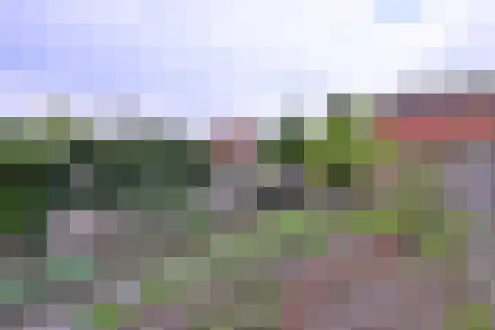 Veldhommel 72 Deventer thumbnail 28