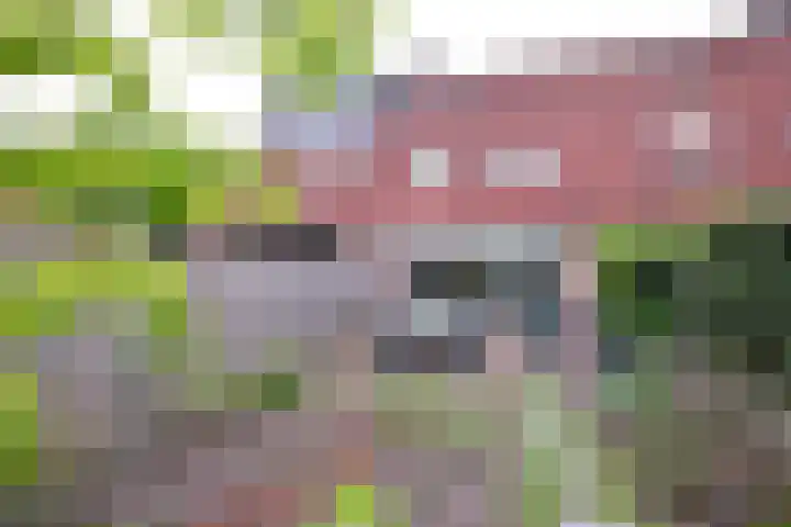 Veldhommel 72 Deventer thumbnail 34