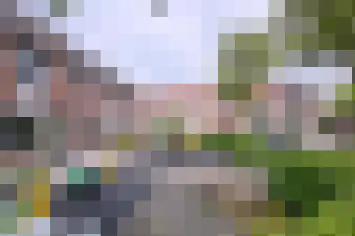 Veldhommel 72 Deventer thumbnail 37