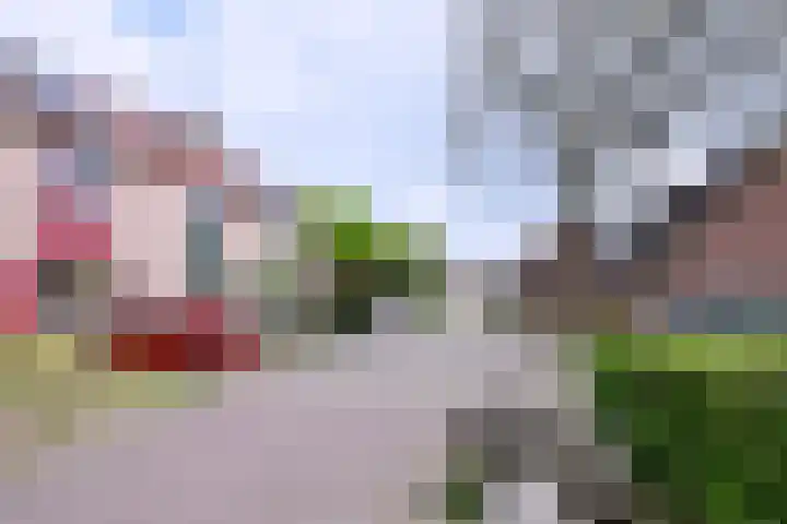 Veldhommel 72 Deventer thumbnail 38