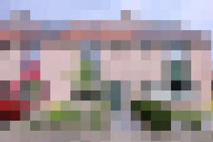 Veldhommel 72 Deventer thumbnail 44