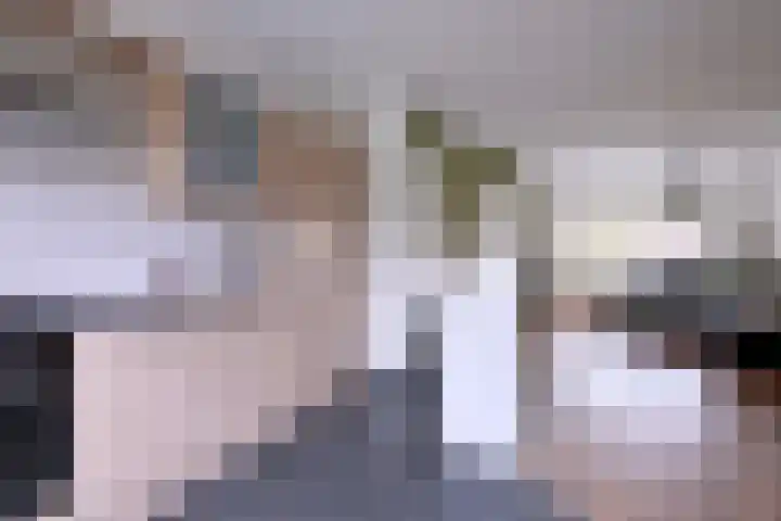 Veldhommel 72 Deventer thumbnail 7