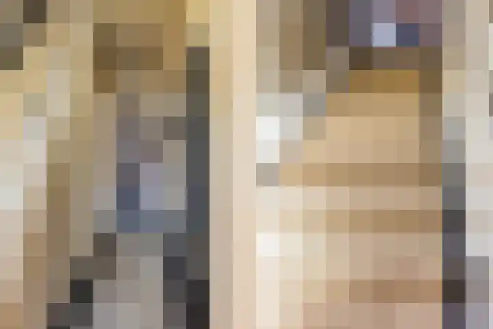 Veldhorststraat 21 Lisse thumbnail 22