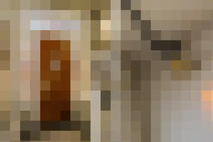 Veldhorststraat 21 Lisse thumbnail 8