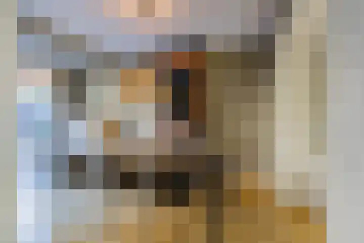 Veldhorststraat 21 Lisse thumbnail 9