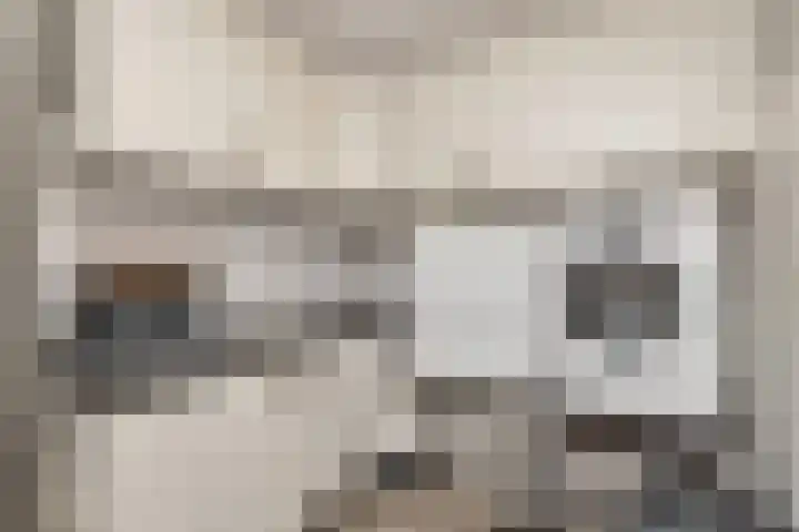 Veldkamp 132 Overdinkel thumbnail 19