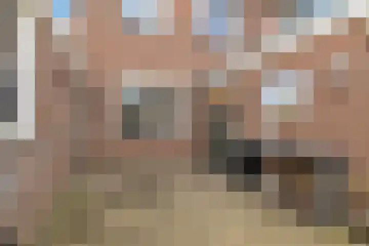 Veldkamp 132 Overdinkel thumbnail 35