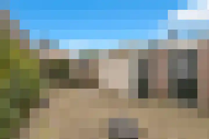 Veldkamp 132 Overdinkel thumbnail 37