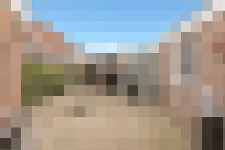 Veldkamp 132 Overdinkel thumbnail 45