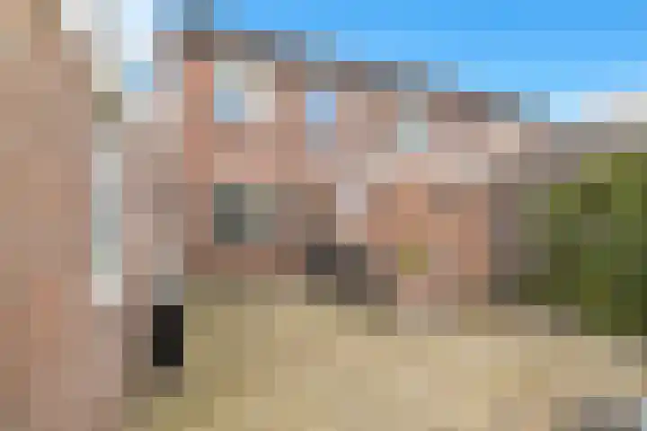 Veldkamp 132 Overdinkel thumbnail 46