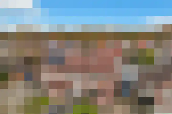Veldkamp 132 Overdinkel thumbnail 50