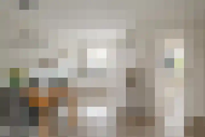 Veldkamp 2 Overdinkel thumbnail 12
