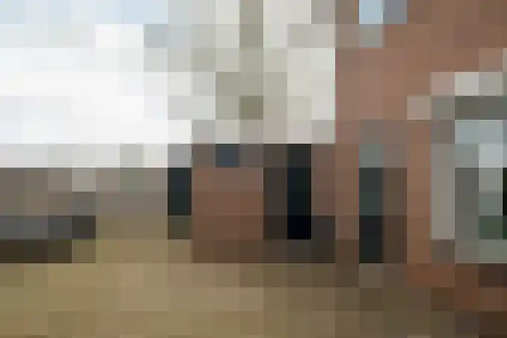 Veldkamp 2 Overdinkel thumbnail 26